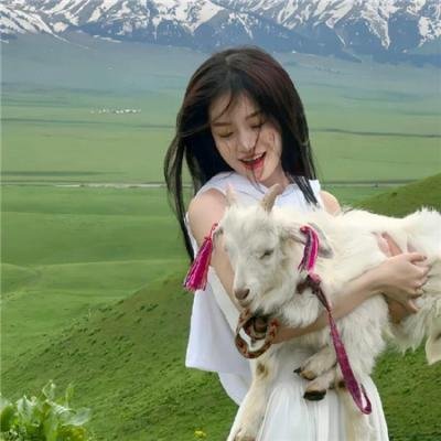 夜樱家的大作战